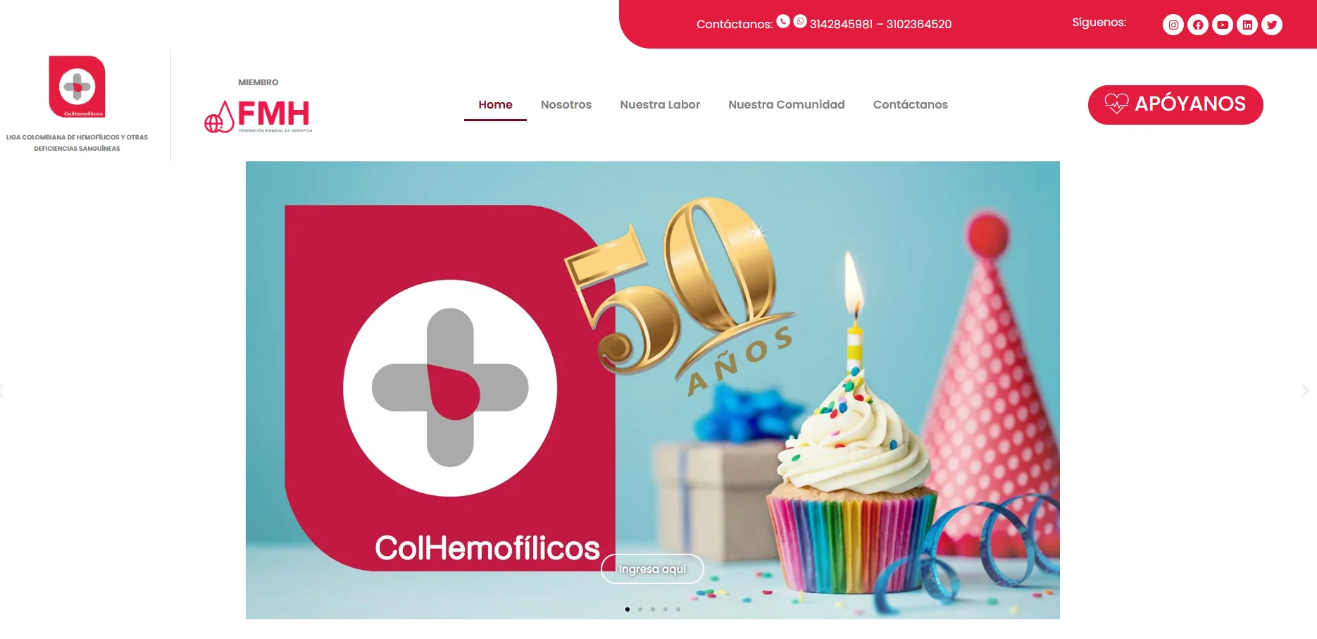 Liga Colombiana de Hemofilicos | Diseño Web