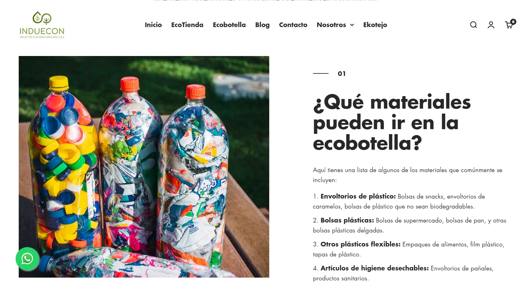 Ecommerce en Shopify